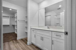 Bathroom featuring wood-type flooring and vanity