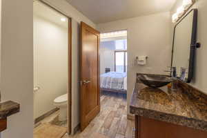 Bathroom with vanity, hardwood / wood-style flooring, and toilet