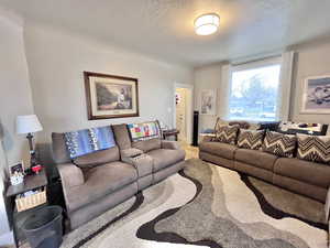 Living room with hardwood / wood-style floors and a textured ceiling