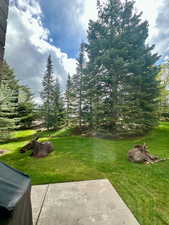 View of yard featuring a patio area