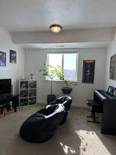 Interior space featuring carpet floors and a textured ceiling