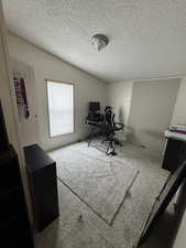 Home office featuring vaulted ceiling, carpet floors, and a textured ceiling