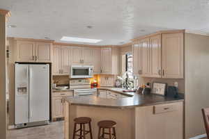 Kitchen fridge & skylight