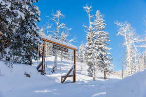 View of snowy yard