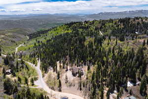 Drone / aerial view with a mountain view