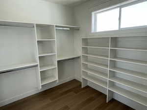 Walk in closet featuring dark wood-type flooring