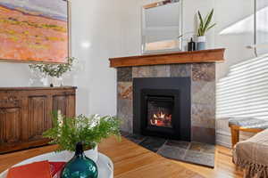 Living area featuring a fireplace and wood-type flooring