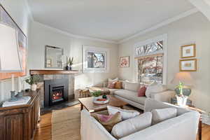 Living room featuring a stone fireplace, dark hardwood / wood-style flooring, and ornamental molding