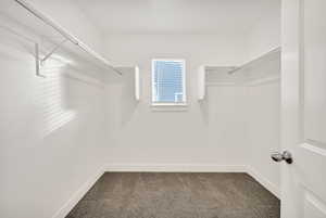 Spacious closet with carpet