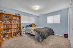 Carpeted bedroom with a textured ceiling