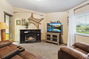 Carpeted living room featuring a textured ceiling