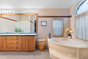 Bathroom with separate shower and tub and vanity