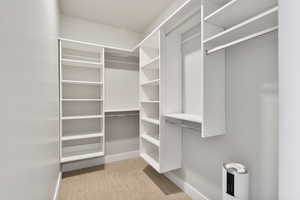 Walk in closet featuring light hardwood / wood-style floors