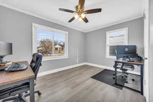 Office area/ bedroom with light hardwood / wood-style floors, ceiling fan, and crown molding