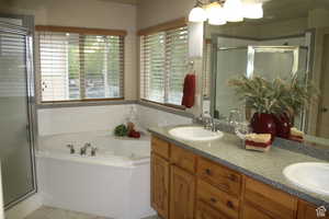 Master Bathroom featuring vanity and independent shower and bath