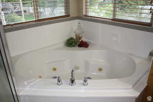 Master Bathroom featuring a bathing tub