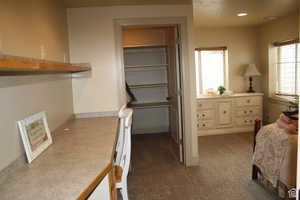 Spacious closet with dark colored carpet