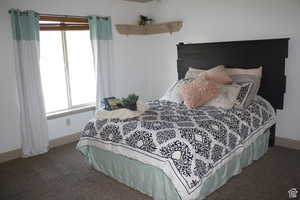 Carpeted bedroom featuring multiple windows