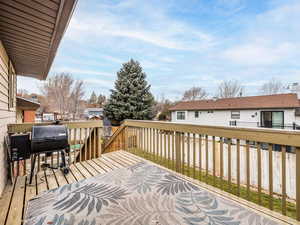 Wooden deck with grilling area