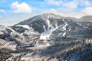 Property view of mountains