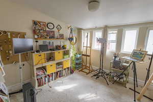 Miscellaneous room with carpet flooring