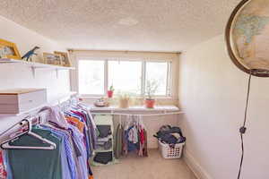 Walk in closet with carpet