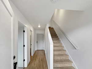 Stairs featuring hardwood / wood-style floors