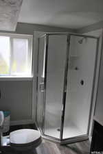 Bathroom featuring hardwood / wood-style floors, vanity, toilet, and an enclosed shower