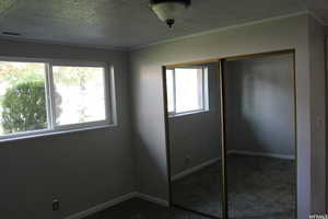 Unfurnished bedroom featuring carpet floors and a closet