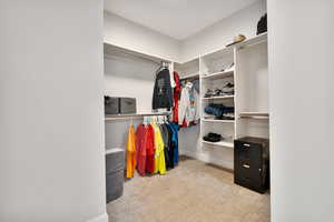 Spacious closet featuring light carpet