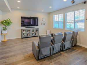 Cinema room featuring light hardwood / wood-style floors