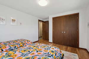 Bedroom with a closet and light hardwood / wood-style floors