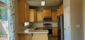 Kitchen with kitchen peninsula, sink, stainless steel appliances, and wood-type flooring