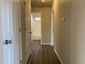 Hall featuring dark hardwood / wood-style flooring