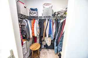 Spacious closet featuring carpet flooring