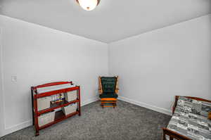 Sitting room featuring dark carpet