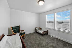 Bedroom with dark colored carpet