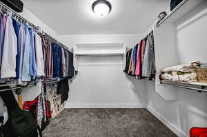 Spacious closet with dark carpet