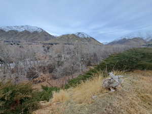 Property view of mountains