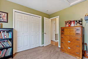 Carpeted bedroom with a closet and a textured ceiling