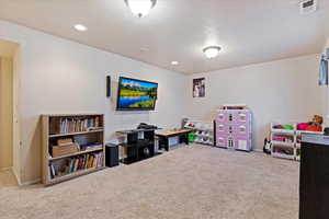 Rec room with carpet floors