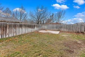 View of yard with a patio