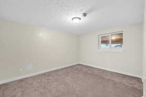 Carpeted spare room with a textured ceiling