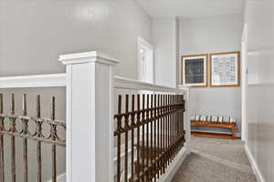 Staircase featuring carpet floors