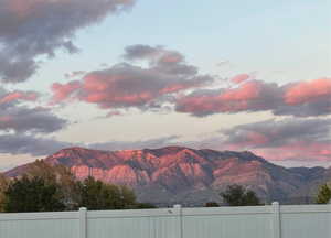 Back deck view