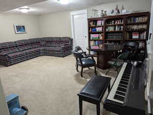 Interior space featuring carpet floors and a textured ceiling