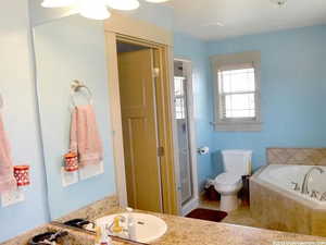 Full bathroom with vanity, plus walk in shower, and toilet