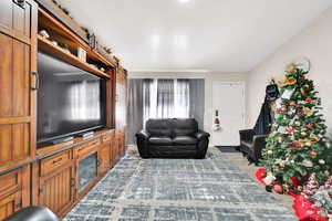 Living room featuring a barn door and dark hardwood / wood-style flooring