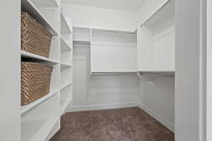 Walk in closet featuring dark colored carpet