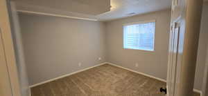 4th bedroom in basement